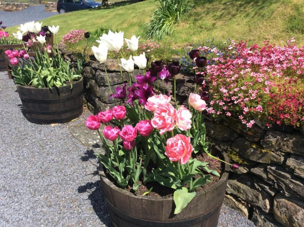 Kilmeny Hotel Ballygrant Luaran gambar